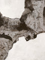 Rohe Essenz | UNIKA-BILD 90x120