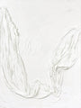 Rohe Essenz | UNIKA-BILD 90x120