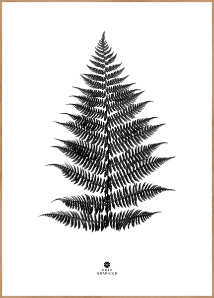Farn schwarz | POSTERBAND