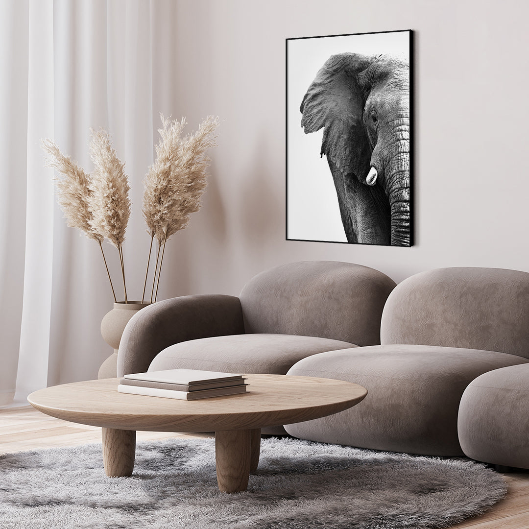 Weißer Elefant | Plakatbrett