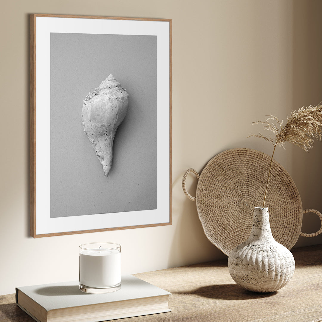 Shell | Plakatbrett