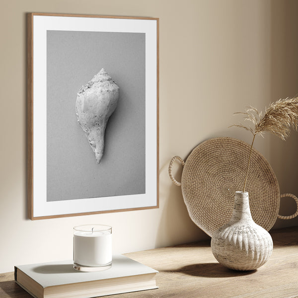 Shell | Plakatbrett