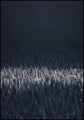 Schwarze Kiefern | Plakatbrett