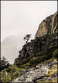 Hochland | POSTERBAND