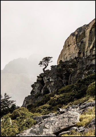 Hochland | POSTERBAND