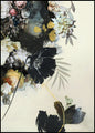 Haute Couture 2 | POSTERBAND
