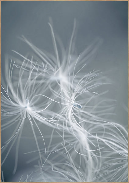 Dream Weaver Blue | Plakatbrett
