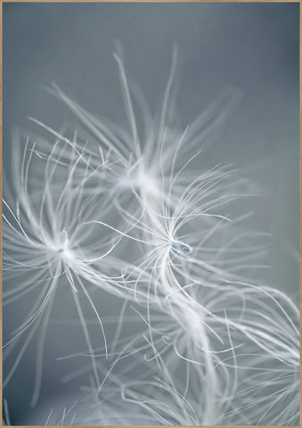 Dream Weaver Blue | Plakatbrett