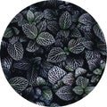 Mondblumen | CIRCLE ART