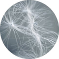 Traumweberblau | CIRCLE ART