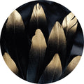 Goldene Feder | CIRCLE ART