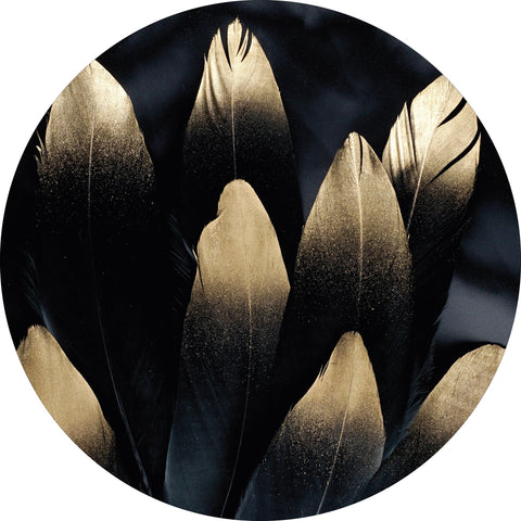 Goldene Feder | CIRCLE ART
