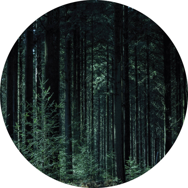 Tiefes Grün | CIRCLE ART