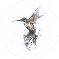 Kolibri-Koralle | CIRCLE ART