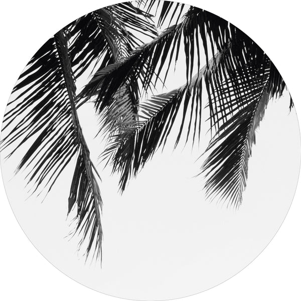 Die Palmen | CIRCLE ART
