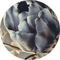 Barock 3 | CIRCLE ART