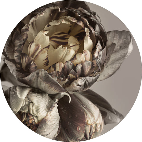 Barock 4 | CIRCLE ART