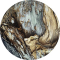 Holz | CIRCLE ART