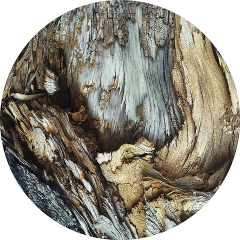 Holz | CIRCLE ART