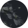 Geheimnis 9 | CIRCLE ART