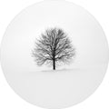 Einsam 1 | CIRCLE ART