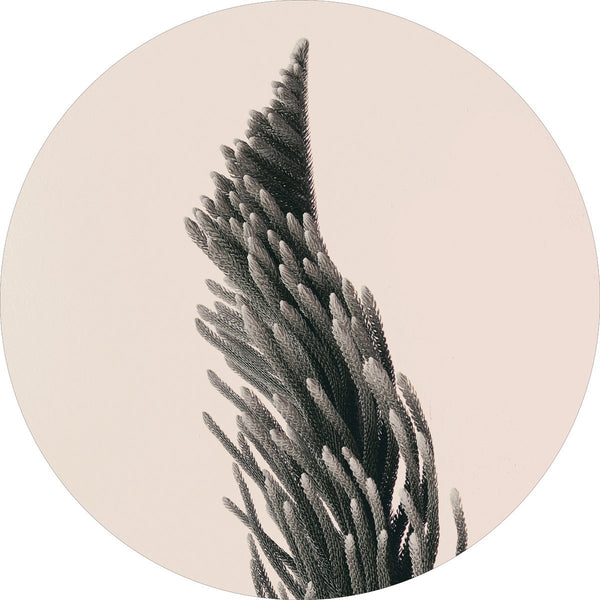 Nach oben 1 | CIRCLE ART
