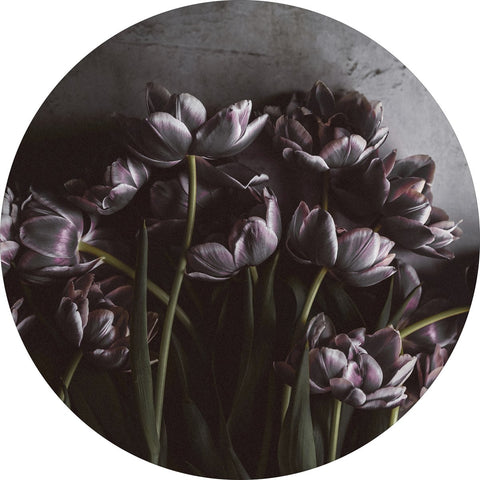 Dunkle Tulpen | CIRCLE ART