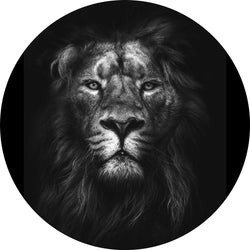 König der Könige | CIRCLE ART