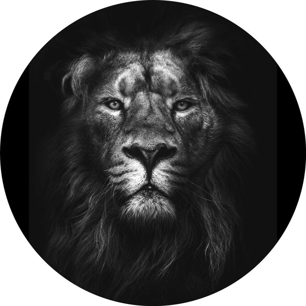 König der Könige | CIRCLE ART