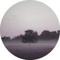 Lila Licht 2 | CIRCLE ART