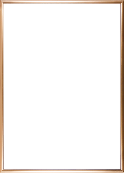 Goldrahmen / 70x100