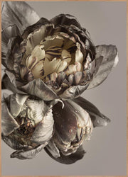 Baroque 4 | Poster