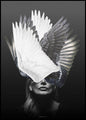 Engel | POSTERBAND