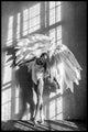 Angel Dream 1 | Plakatbrett