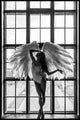 Angel Dream 2 | Plakatbrett