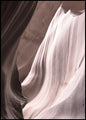 Antilope 4 | POSTERBAND