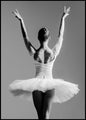Ballerina | Plakatbrett