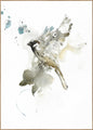 Vogel 1 | POSTERBAND