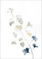 Blaue Spring | POSTER