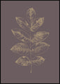 Botanica-2 | POSTERBAND