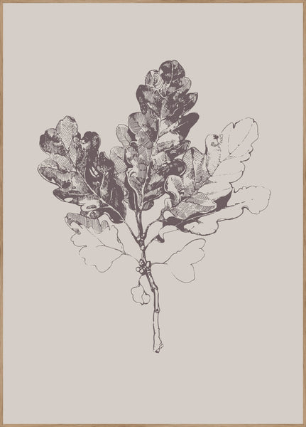 Botanica-3 | Plakatbrett
