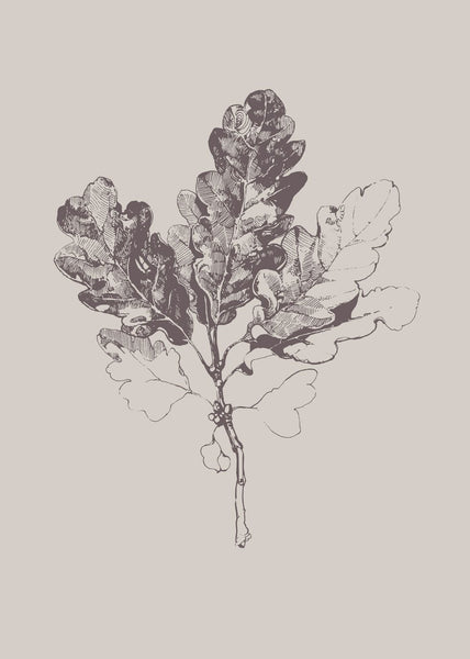 Botanica-3 | Plakatbrett