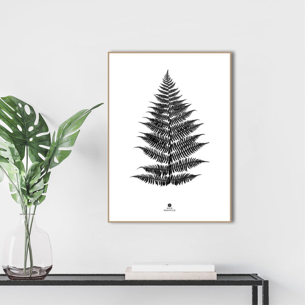 Farn schwarz | POSTERBAND