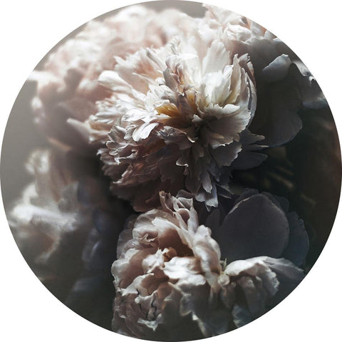 Barock 1 | CIRCLE ART