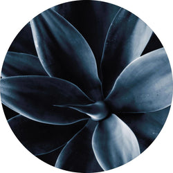 Dunkle Pflanze 1 | CIRCLE ART