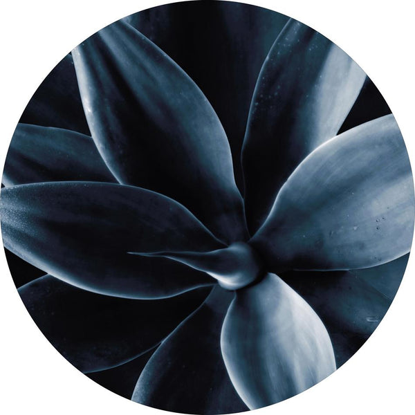 Dunkle Pflanze 1 | CIRCLE ART