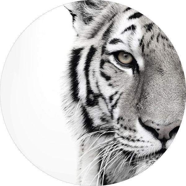 Weißer Tiger | CIRCLE ART