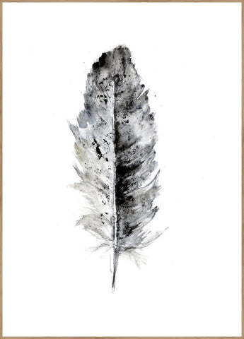 Kuschelige Feder 1 | POSTERBAND