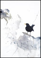Neugier 2 | POSTERBAND