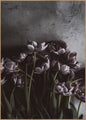 Dunkle Tulpen | Plakatbrett